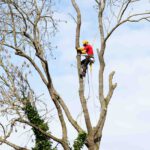 Garten-und Landschaftsbau N.Kerolli
Ihr Gärtner für Gartengestaltung in Velbert, Essen, Wuppertal und Umgebung. Garten-und Landschaftsbau N.Kerolli Ihr Gärtner für Gartengestaltung in Velbert, Essen, Wuppertal und Umgebung.