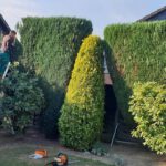 Garten-und Landschaftsbau N.Kerolli
Ihr Gärtner für Gartengestaltung in Velbert, Essen, Wuppertal und Umgebung. Garten-und Landschaftsbau N.Kerolli Ihr Gärtner für Gartengestaltung in Velbert, Essen, Wuppertal und Umgebung.