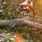 Garten-und Landschaftsbau N.Kerolli
Ihr Gärtner für Gartengestaltung in Velbert, Essen, Wuppertal und Umgebung. Garten-und Landschaftsbau N.Kerolli Ihr Gärtner für Gartengestaltung in Velbert, Essen, Wuppertal und Umgebung.